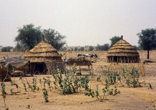 4_Niger-Mali_0007