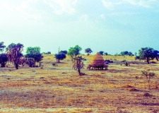 4_Niger-Mali_0025