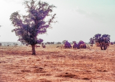 4_Niger-Mali_0028