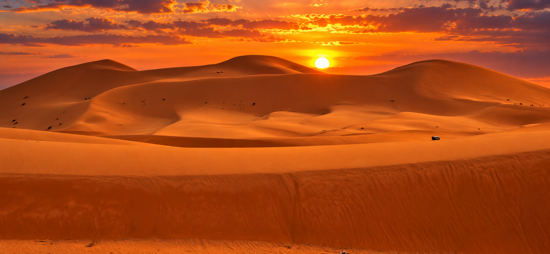 ChatGPT-Image-4.-Sept.-2026-15_10_29