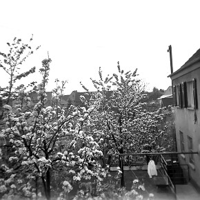 photo_editor_ds_1643191064363