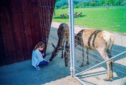 Ravensburger Spieleland__001