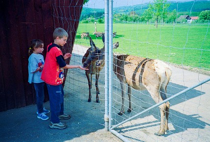 Ravensburger Spieleland__002