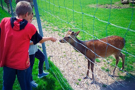 Ravensburger Spieleland__009