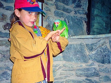 Vogelburg Weilrod 2002