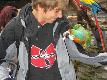 Vogelburg Weilrod 2006