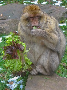 IMG_2637