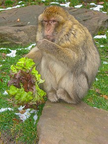 IMG_2638