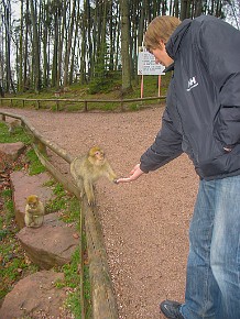 IMG_2652