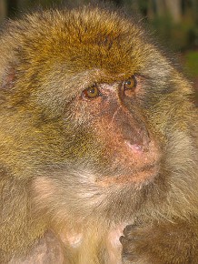 IMG_2653