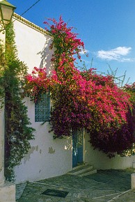 1_Tunis-00015