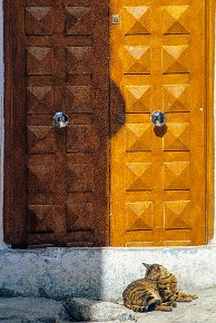 1_Tunis-00016
