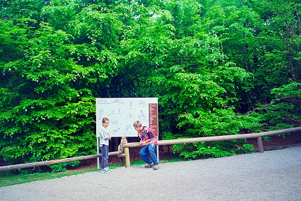 Affenberg Salem__005