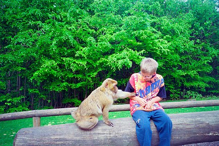 Affenberg Salem__007