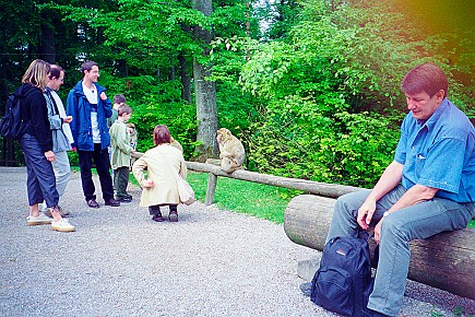 Affenberg Salem__009