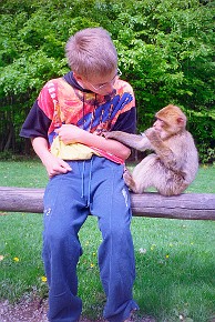 Affenberg Salem__015