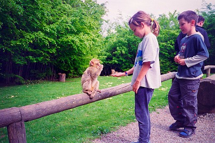 Affenberg Salem__019