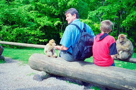 Affenberg Salem__021