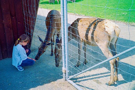 Ravensburger Spieleland__006