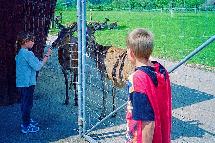 Ravensburger Spieleland__008