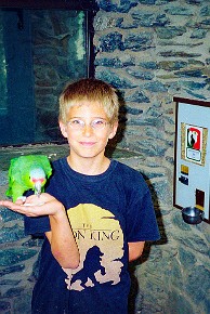 Vogelburg Weilrod__001