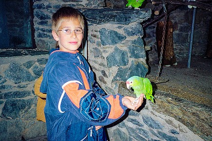 Vogelburg Weilrod__004