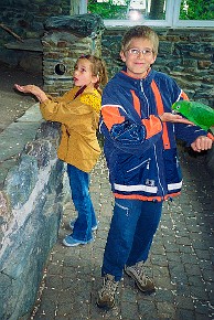 Vogelburg Weilrod__008