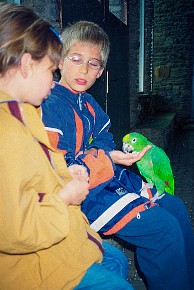 Vogelburg Weilrod__009