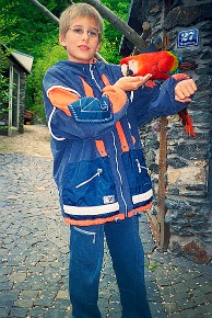 Vogelburg Weilrod__013