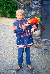 Vogelburg Weilrod__014