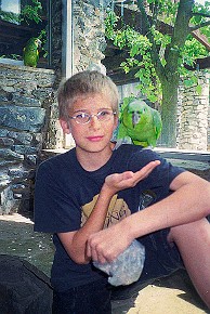 Vogelburg Weilrod__015