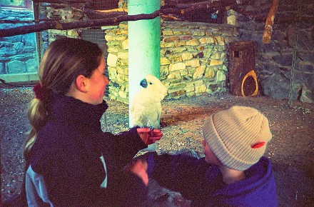 Vogelpark (5)