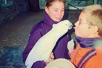 Vogelpark (9)