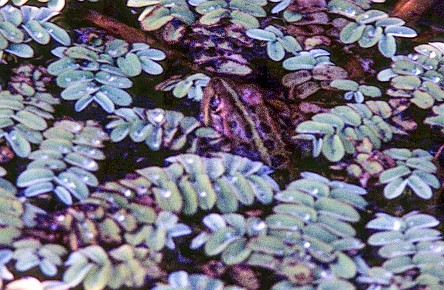 15_77__017